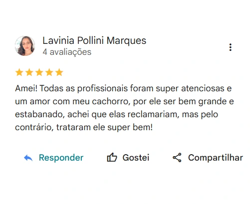 Avaliação 5 estrelas Centro Educativo Yayá