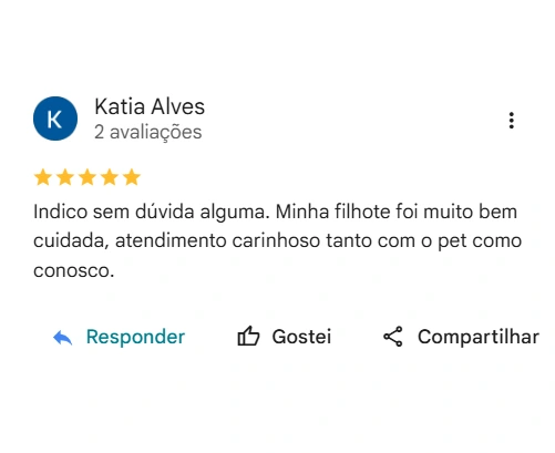 Avaliação 5 estrelas Centro Educativo Yayá