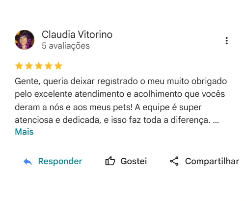 Avaliação 5 estrelas Centro Educativo Yayá